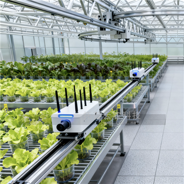 溫室巡軌式表型采集分析系統(tǒng)